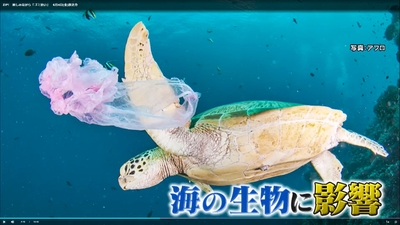 pADtDl8FipKAL7YAJsTG.jpg?w=940&h=940