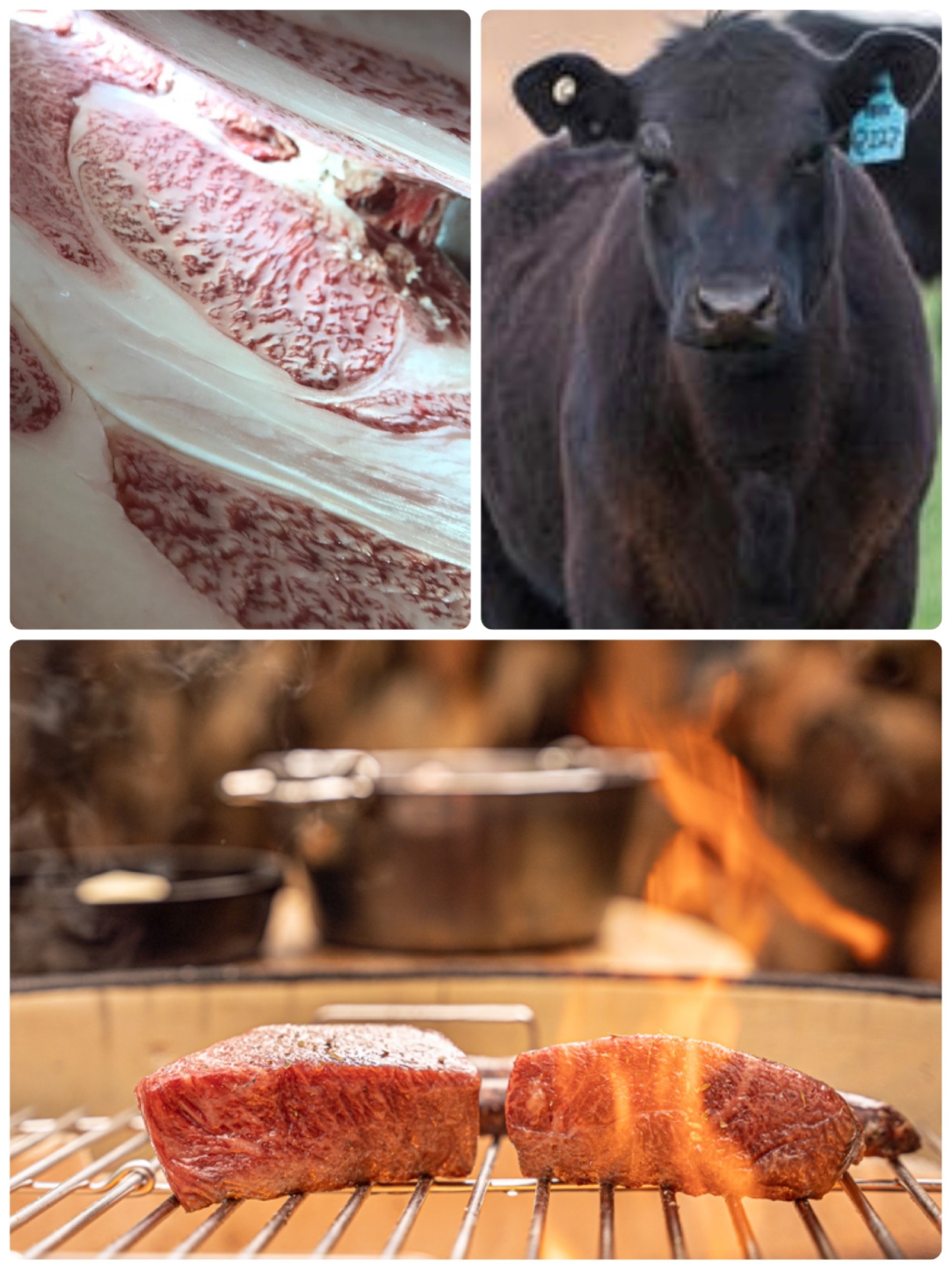 グランピングヴィラハンズ河口湖 宿泊者限定 夏のイベント