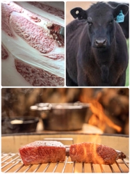 グランピングヴィラハンズ河口湖　宿泊者限定 夏のイベント