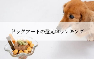 pARVvb3OC8qmv8w7dCPH.jpg?w=940&h=940