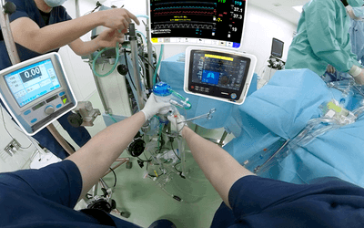 pAzE7akDX23421wTYsV0.png?w=940&h=940