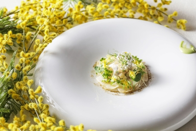 pDnpTEloBGfKMxYPTxpc.jpg?w=940&h=940