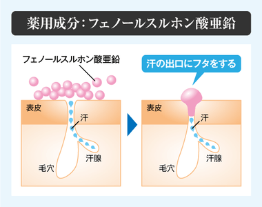 pECBbV9oAOwAnWiIJWIt.png?w=940&h=940