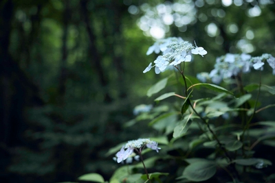 pEoOz7jGEfgWY3lox1rH.jpg?w=940&h=940