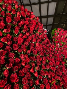 2021年ヴァレンタイン