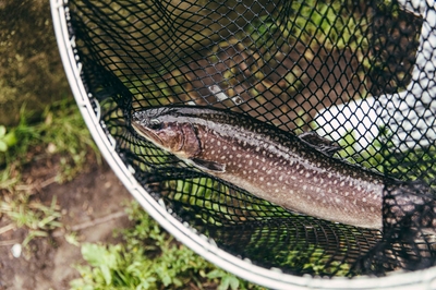 pH81KGfZSPg9BoMbYUUg.jpg?w=940&h=940