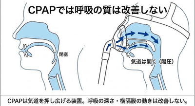 pJTj3hGGw8wwuzk9A7j8.png?w=940&h=940