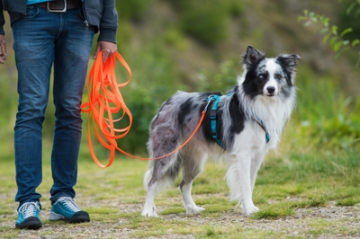 pKIiXul8pOoeh0lhWDFl.jpeg?w=940&h=940