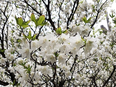 pMY1G3tdAgWUnLsoYMka.jpg?w=940&h=940