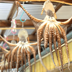 pOGNuRNEptrQ0uone2mm.png?w=940&h=940