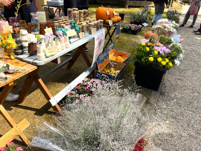 pPkMspqt5uF54ijjFZWy.jpg?w=940&h=940