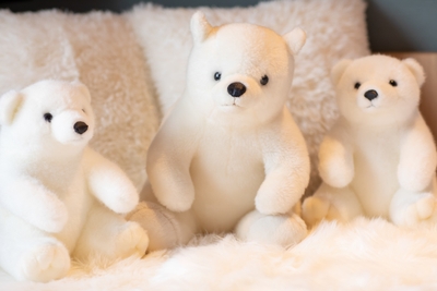 pPp2aoAVPrsPoM5rOCkE.jpg?w=940&h=940