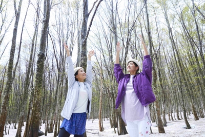 pQE8AV2ghPm2BsxUC9qy.jpg?w=940&h=940