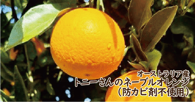 pQmntgFspFSQgTNDlHeo.png?w=940&h=940