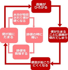 pSWqFBjAmgZoSIjtUgHZ.jpg?w=940&h=940