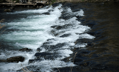 pSihnihPF8jUhMlLZlDC.png?w=940&h=940