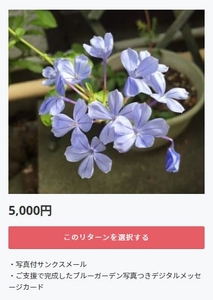 pTfazF184p9mw7r5Jb4m.jpg?w=940&h=940