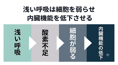 pWH16xZ16aaTODNIaMp7.png?w=940&h=940
