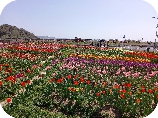 pWWbDamQpaykcBB5Rfuh.jpg?w=940&h=940