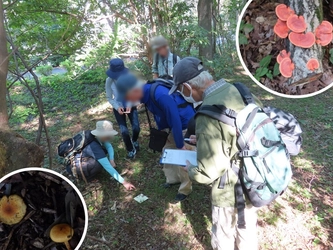 「たまQカルチャー　自然観察会ぷらす　小山内裏公園キノコ観察会」10月12日(日)開催