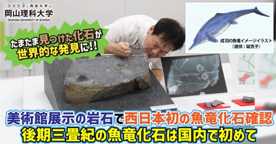 【岡山理科大学】たまたま見つけた化石が世界的な発見に!!　美術館展示の岩石で西日本初の魚竜化石確認　後期三畳紀の魚竜化石は国内で初めて
