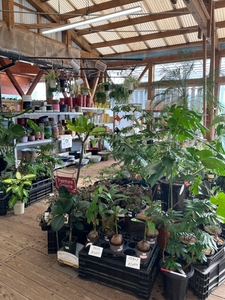 pZwBYHtmo5Uco6vuDf4Q.jpg?w=940&h=940