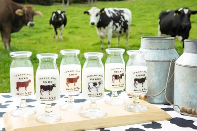 pbMuSYdo0qsXqnXXNcc4.jpg?w=940&h=940