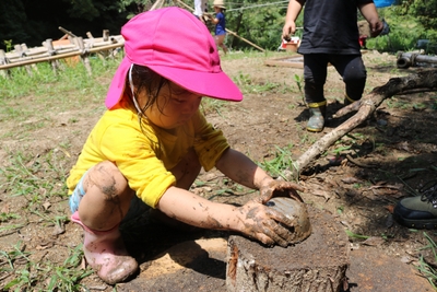 pc49tInZc7tn3PxvX10F.jpg?w=940&h=940