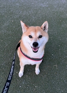 pcCJ2vWbqSGkkQOA3isc.jpeg?w=940&h=940