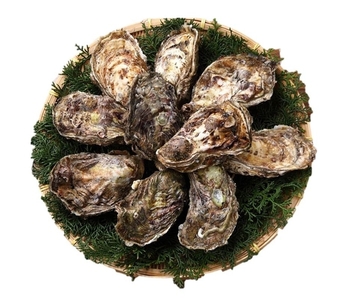 pd8qBj0sdZq3GKS1q68Q.jpg?w=940&h=940