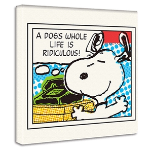 pdnxmHDoAYghVtqTWHlR.jpg?w=940&h=940