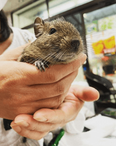 pg1wdcWqX4xRp7reOFpk.png?w=940&h=940