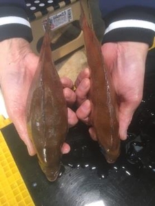 マッスルマダイ