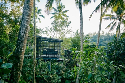 php8BJzImpBF2kWaBYuh.jpg?w=940&h=940