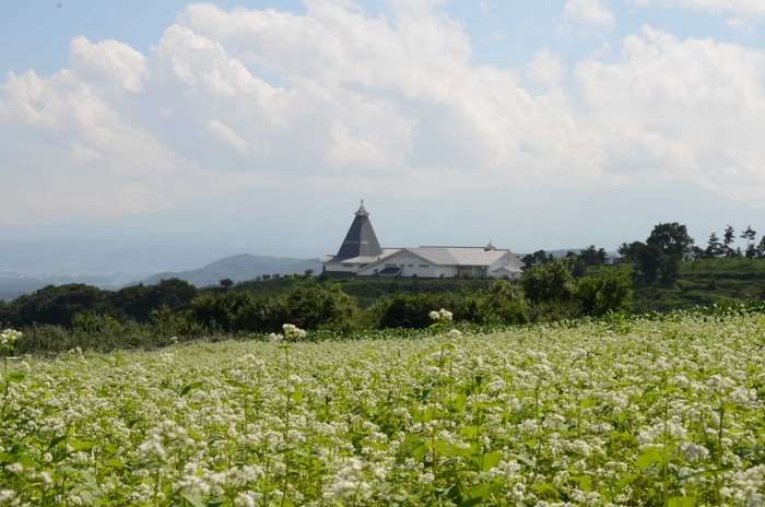 小諸は美味しい「そば」が育つ土地