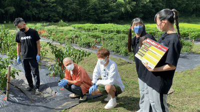 piE2xcspuLrltZCZ3JHg.png?w=940&h=940