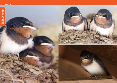 pjiRcwVr6Lttc02pn7tJ.jpg?w=940&h=940