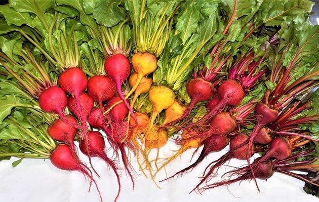 附属農場で栽培した野菜を病院食として提供　附属農場×奈良病院のコラボ