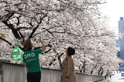 pl5iCY7JwQrQKEFUgM04.jpg?w=940&h=940