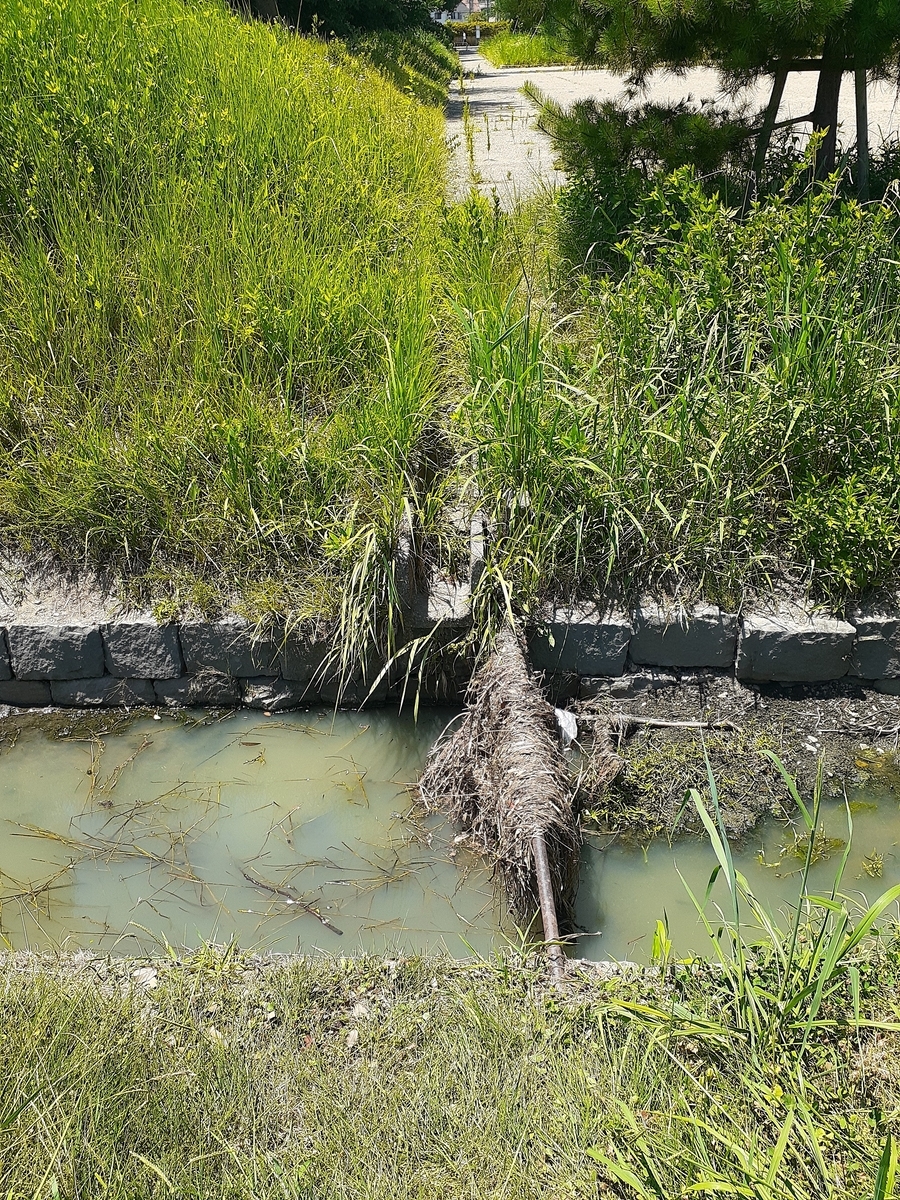 [奈文研コラム]未然に防ぐ、事前に備える