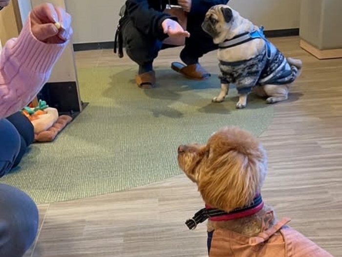 待て選手権(先月開催の様子)