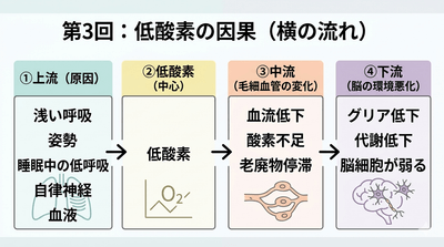 plb8C7u5SB3FbVnIrx5Y.png?w=940&h=940