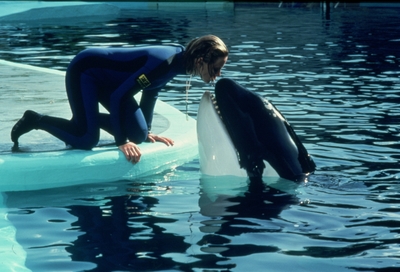 © 1982 Universal City Studios LLC. All Rights Reserved.