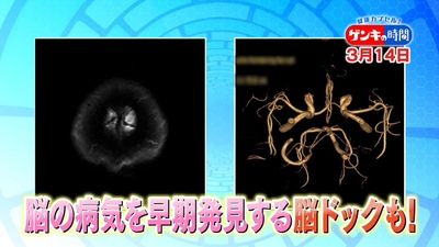 pmjwvSKoctYr7hWjqExC.jpg?w=940&h=940