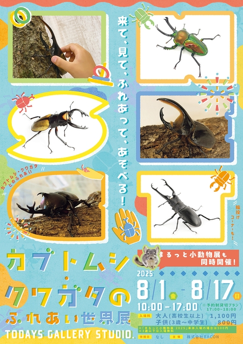 カブトムシ・クワガタのふれあい世界展 キービジュアル