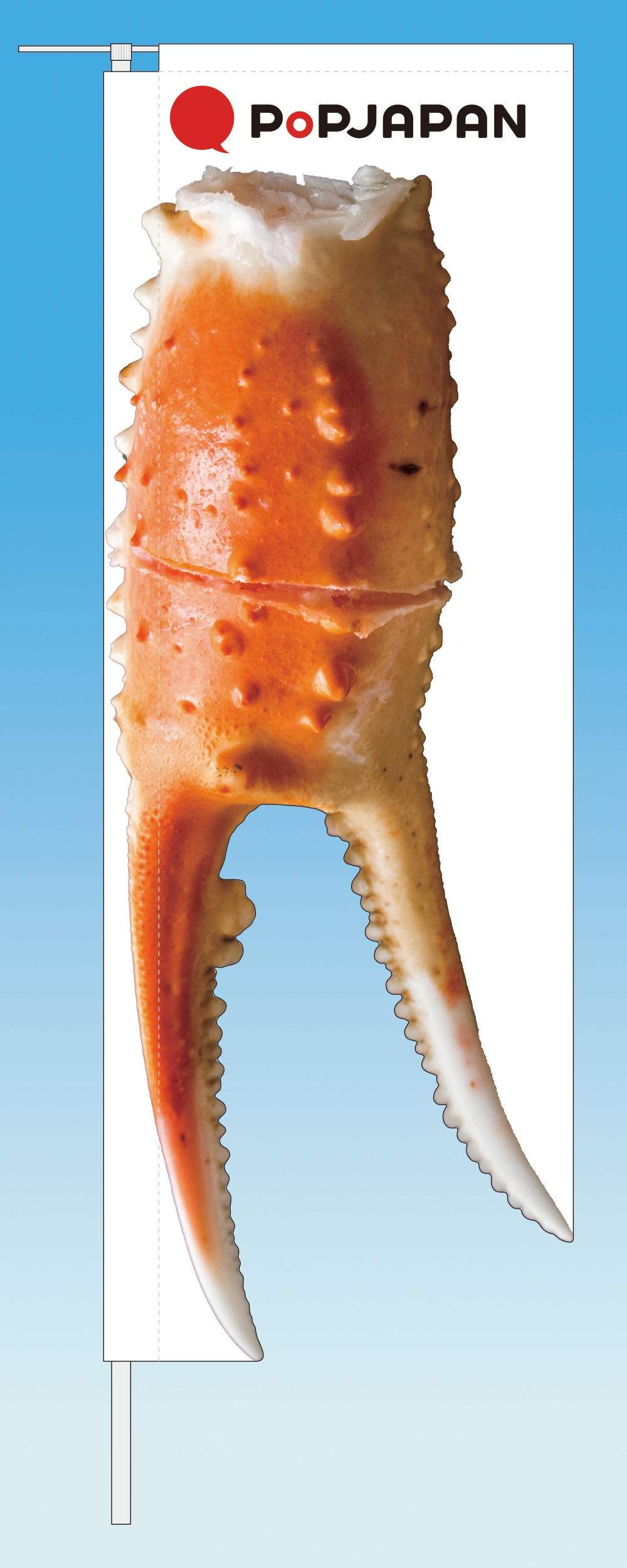 ボイルガニデザイン