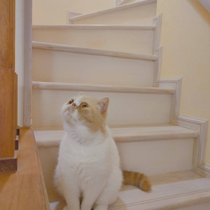 poQlRZz85KRKUkMxtSOV.jpg?w=940&h=940