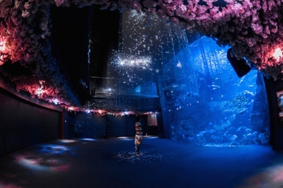 poUtxniHddfTQl6MpfHq.jpg?w=940&h=940