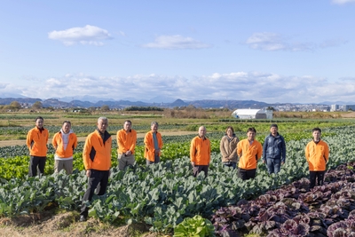 2024年11月の様子