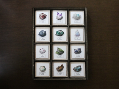 【リプラグ】ARバースデーカード【標本】